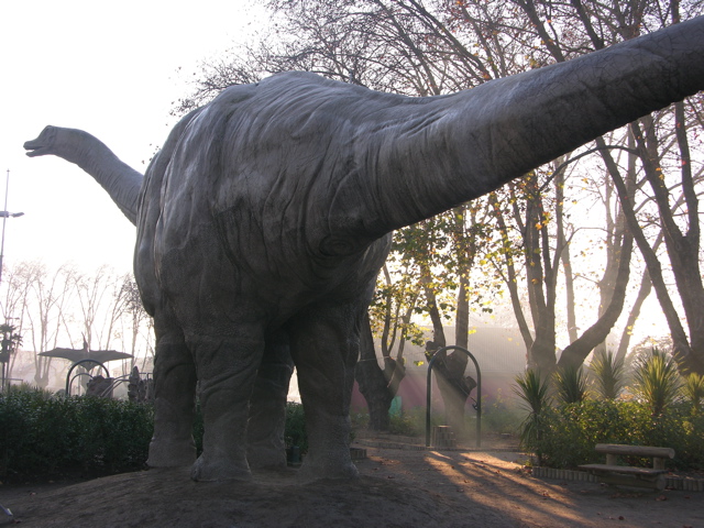 DSCN9538.JPG