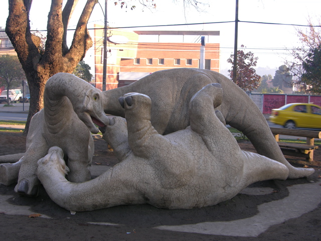 DSCN9539.JPG