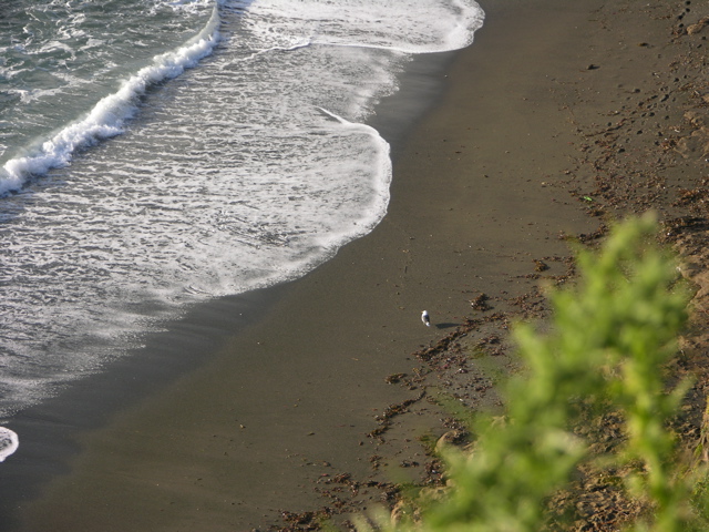DSCN9426.JPG