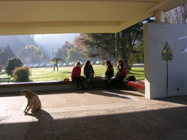 DSCN9545.JPG