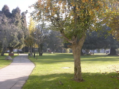 DSCN9552.JPG