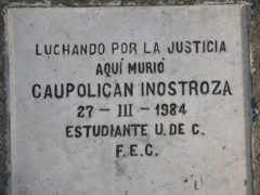 DSCN9553.JPG