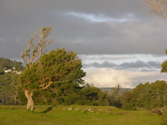 DSCN9428.JPG