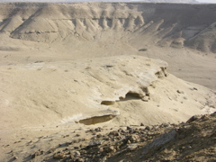 DSCN9572.JPG