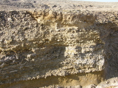 DSCN9573.JPG