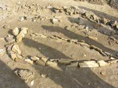 DSCN9575.JPG