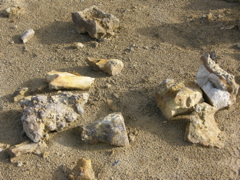 DSCN9576.JPG