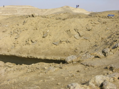 DSCN9577.JPG