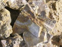 DSCN9578.JPG