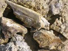 DSCN9579.JPG