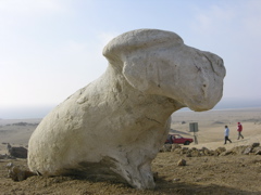 DSCN9581.JPG
