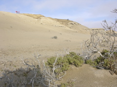 DSCN9585.JPG