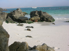DSCN9589.JPG