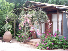 DSCN9591.JPG
