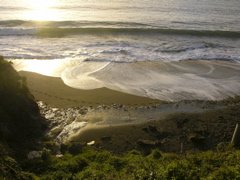 DSCN9430.JPG