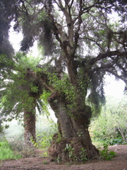 DSCN9592.JPG