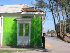 DSCN9603.JPG