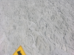 DSCN9609.JPG