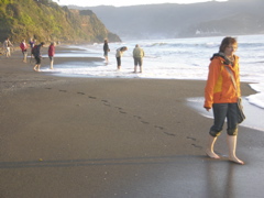 DSCN9431.JPG