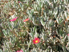 DSCN9614.JPG