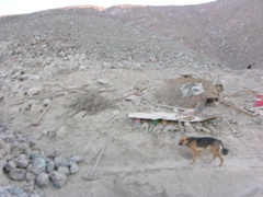 DSCN9625.JPG