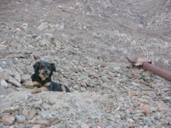 DSCN9626.JPG