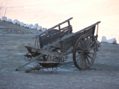 DSCN9629.JPG