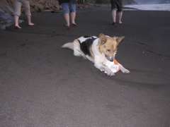 DSCN9435.JPG