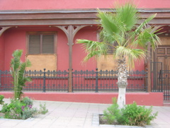 DSCN9656.JPG