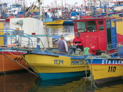 DSCN9663.JPG