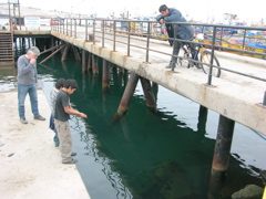 DSCN9664.JPG