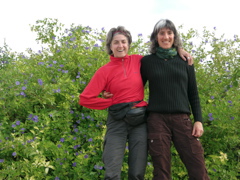 DSCN9667.JPG