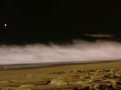 DSCN9672.JPG