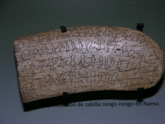 DSCN9687.JPG