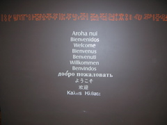 DSCN9689.JPG