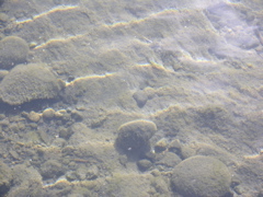 DSCN9438.JPG