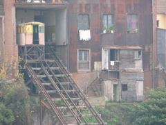 DSCN9698.JPG