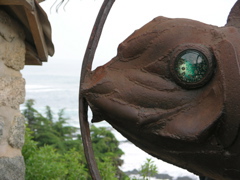 DSCN9702.JPG