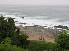 DSCN9703.JPG