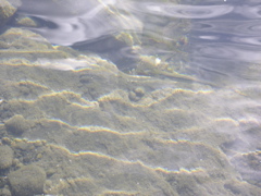 DSCN9439.JPG