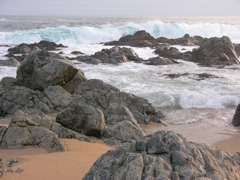 DSCN9714.JPG