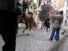 DSCN9717.JPG