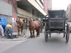 DSCN9721.JPG