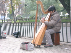 DSCN9726.JPG