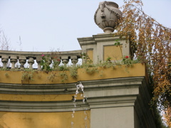 DSCN9736.JPG
