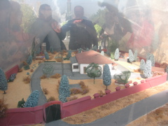 DSCN9748.JPG