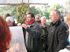 DSCN9749.JPG