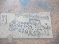 DSCN9752.JPG