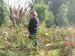 DSCN9767.JPG