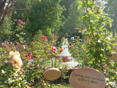DSCN9768.JPG
